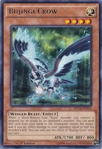 Bujingi Crow