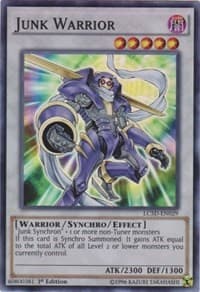 Junk Warrior