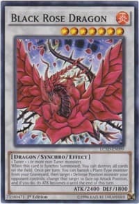 Black Rose Dragon