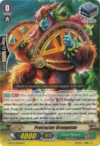 Protractor Orangutan
