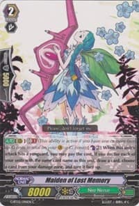 Maiden of Lost Memory