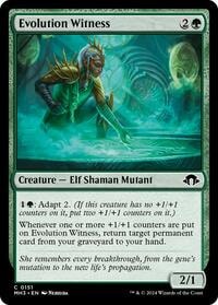 Imagen de Evolution Witness