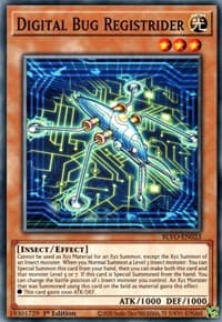 Digital Bug Registrider