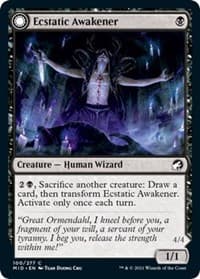 Ecstatic Awakener