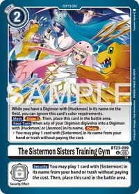 The Sistermon Sisters Training Gym